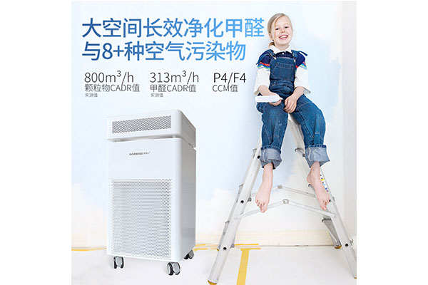 大连除甲醛空气净化器